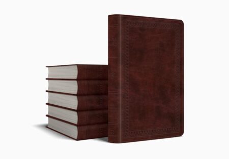 ESV Premium Gift Bible TruTone, Mahogany, Border Design, Case of 24