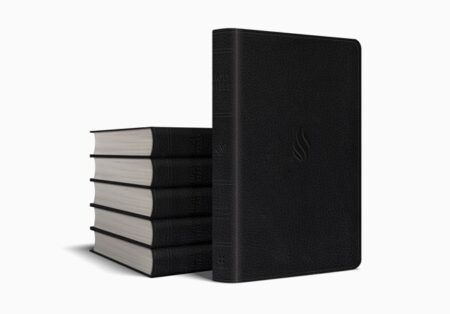 ESV Premium Gift Bible TruTone, Midnight, Flame Design, Case of 24