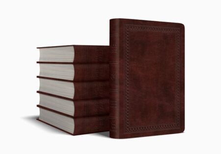ESV Value Compact Bible TruTone, Mahogany, Border Design, Case of 36