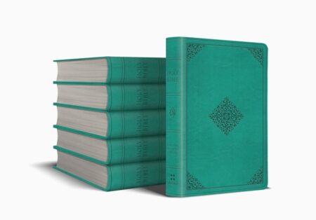 ESV Value Large Print Compact Bible TruTone, Teal, Ornament Design, Case of 28