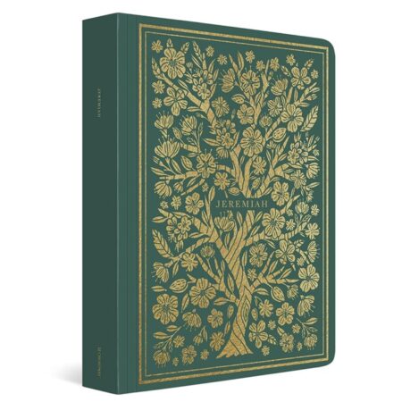 ESV Illuminated Scripture Journal: Jeremiah (Paperback) - Bulk Case of 25