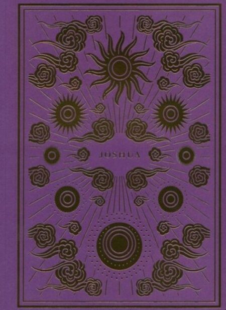 Joshua, ESV Illuminated Scripture Journal - Case of 50