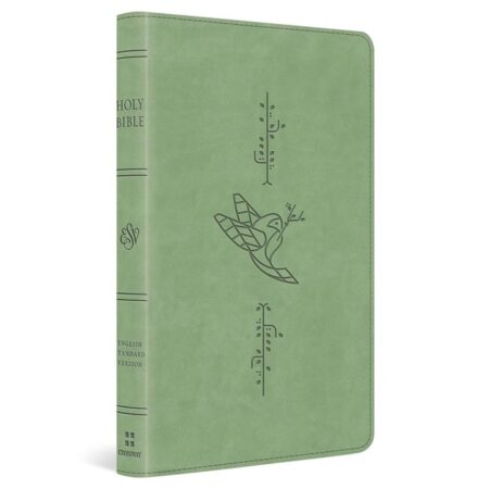 ESV Kids Bible, Thinline (TruTone Leather, Bird of the Air) - Bulk Case of 12