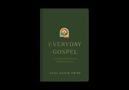 Everyday Gospel: A Daily Devotional Connecting Scripture to All of Life, English (Hardcover) - Bulk Case of 18