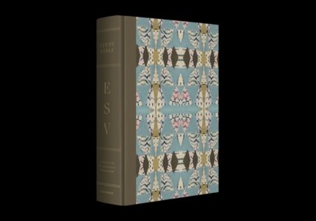 ESV Study Bible, Artist Series (Cloth Over Board) - Bulk Case of 6