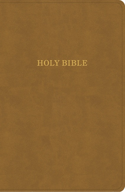 KJV Personal Size Giant Print Bible, Giant Print (LeatherTouch, Camel) - Bulk Case of 16