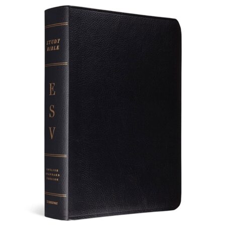 ESV Study Bible---Bonded leather, black - Case of 6