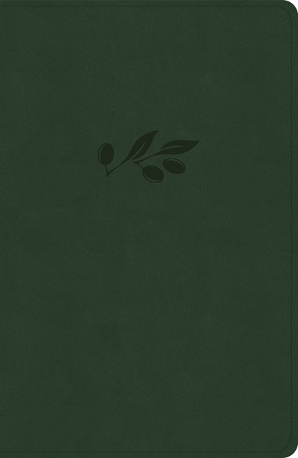 KJV Personal Size Giant Print Bible (LeatherTouch, Olive) - Bulk Case of 16