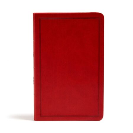 KJV Deluxe Gift Bible (LeatherTouch, Burgundy) - Bulk Case of 28