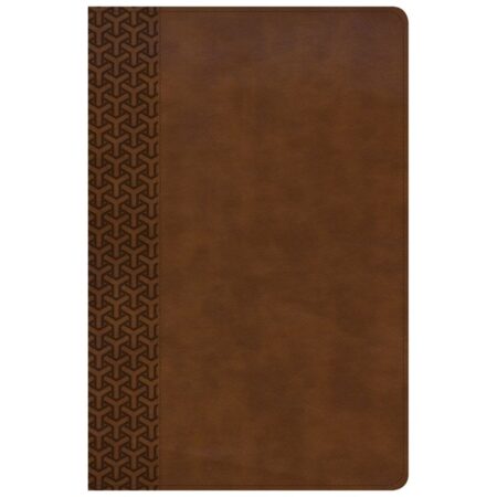 KJV Everyday Study Bible (Leather Touch, British Tan) - Bulk Case of 12