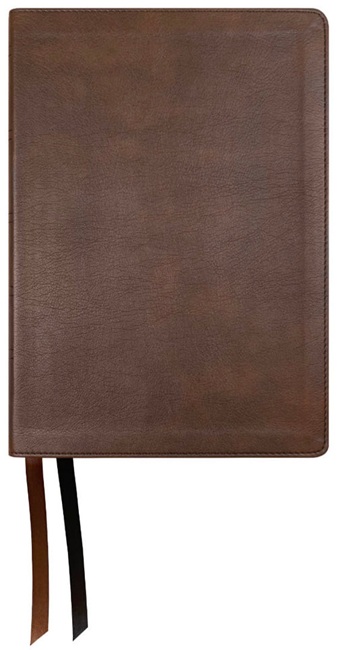 NASB 1995 Large Print Ultrathin Reference Bible (Imitation Leather, Brown) - Bulk Case of 10