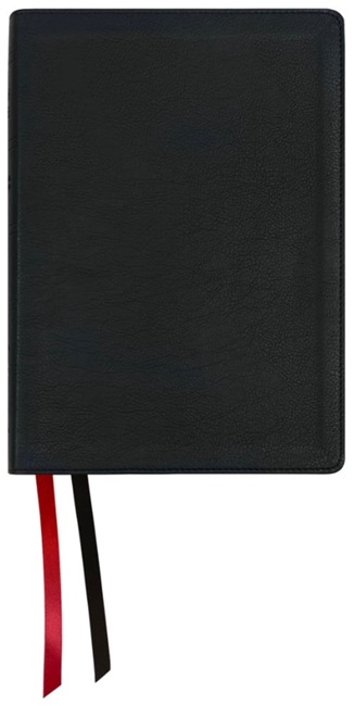NASB 1995 Large Print Ultrathin Reference Bible, Large Print (Imitation Leather, Black) - Bulk Case of 10