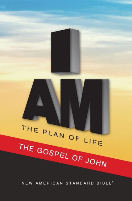 NASB Plan of Life, Gospel of John, New Testament (Paperback, Full-Color) - Bulk Case of 300
