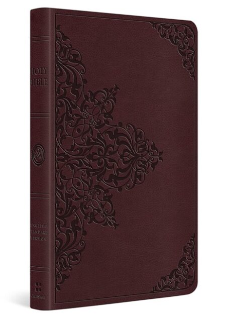ESV Value Thinline Bible (TruTone Leather, Chestnut) - Bulk Case of 32