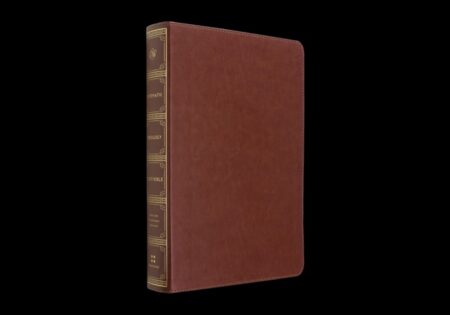 ESV Systematic Theology Study Bible (Chestnut) - Bulk Case of 10