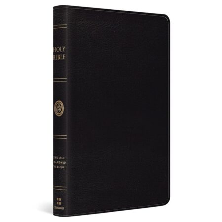 ESV Thinline Bible (Bonded Leather, Black) - Bulk Case of 16