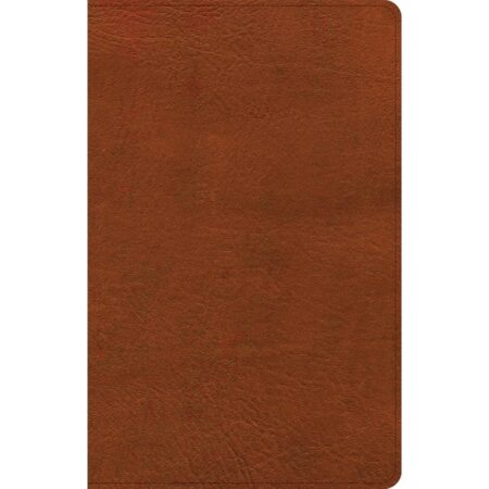 NASB Large Print Thinline Bible, Burnt Sienna LeatherTouch, Case of 16