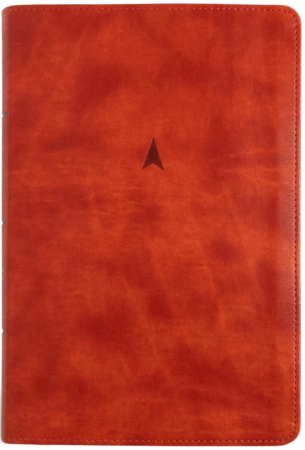 CSB Church Bible, Anglicised Edition, Pew (LeatherTouch, British Tan) - Bulk Case of 16
