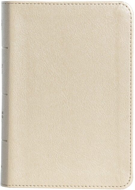 CSB Large Print Compact Reference Bible (LeatherTouch, Gold) - Bulk Case of 24