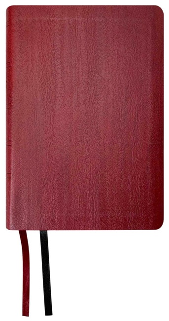 NASB Large Print Compact Bible, Large Print (Imitation Leather, Red) - Bulk Case of 20