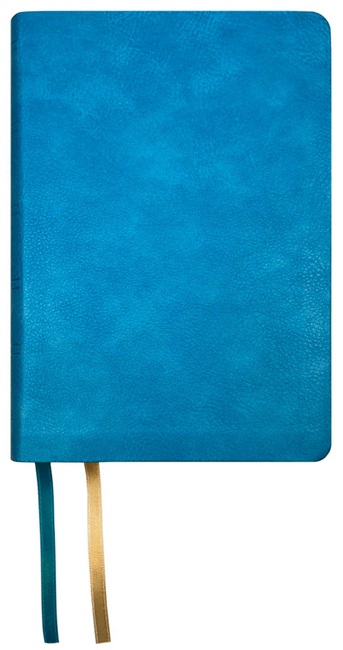 NASB Large Print Compact Bible, Large Print (Imitation Leather, Teal) - Bulk Case of 20