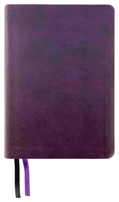 NASB Large Print Compact Bible, Large Print, (Imitation Leather, Purple) - Bulk Case of 20