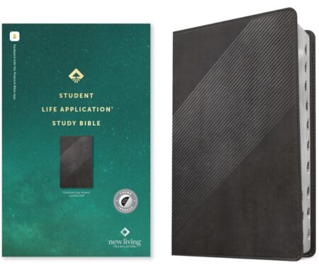 NLT Student Life Application Study Bible, Indexed (Imitation Leather, Charcoal Gray Striped) - Bulk Case of 12
