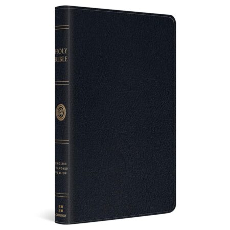 ESV Large Print Thinline Bible (Genuine Leather, Black) - Bulk Case of 14