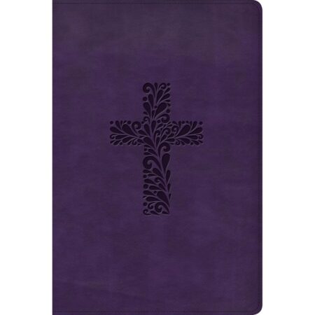 KJV Rainbow Study Bible (LeatherTouch, Purple) - Bulk Case of 12
