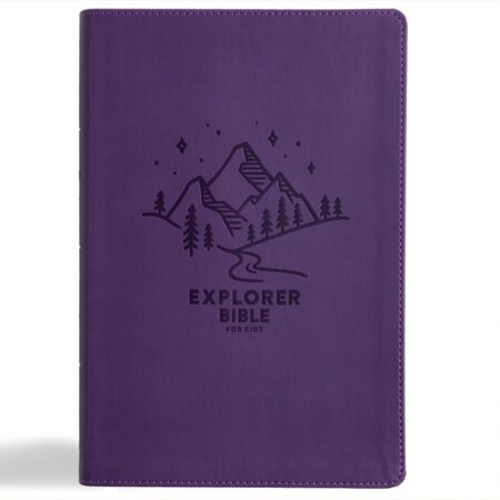 KJV Explorer Bible for Kids (LeatherTouch, Purple Mountains) - Bulk Case of 12