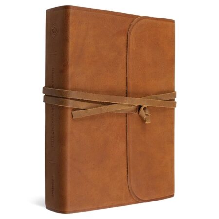 ESV Single Column Journaling Bible, Large Print (Natural Leather, Brown) - Bulk Case of 8