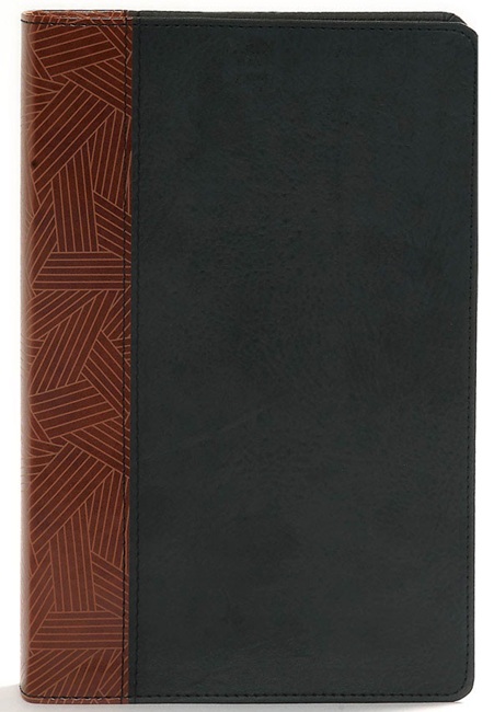 CSB Rainbow Study Bible, Thumb Indexed (LeatherTouch, Black/Tan) - Bulk Case of 12