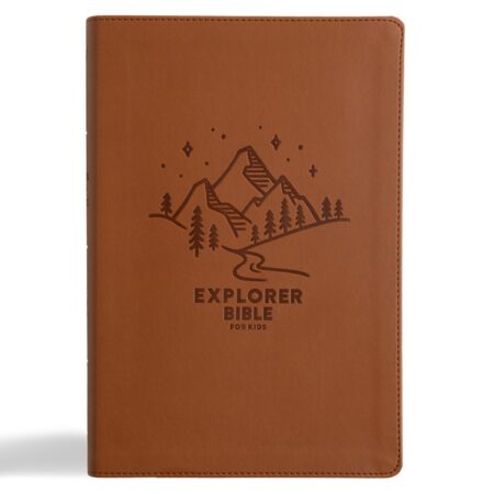 KJV Explorer Bible for Kids, Indexed (LeatherTouch, Brown Mountains) - Bulk Case of 12