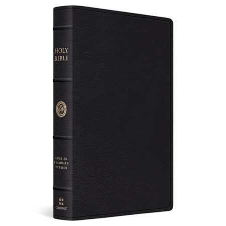 ESV Verse-by-Verse Reference Bible (Top Grain Leather, Black) - Bulk Case of 10