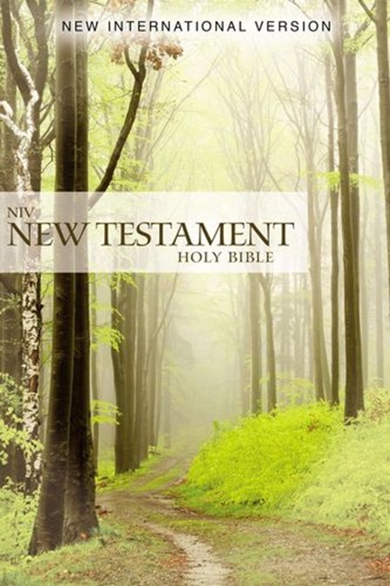 NIV Outreach New Testament---softcover, green forest path - Case of 60