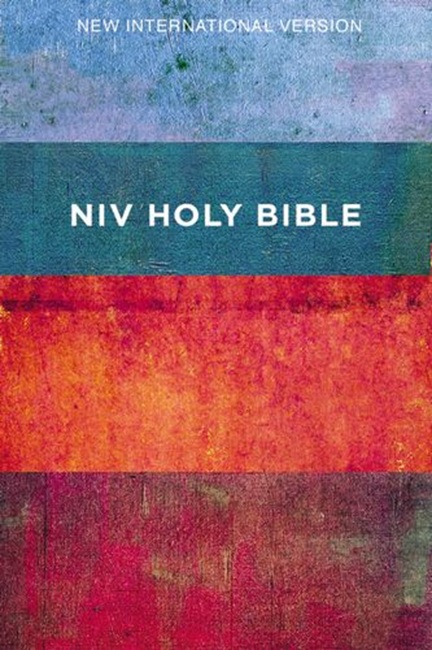 NIV Value Outreach Bible---softcover, red/blue stripes - Case of 32