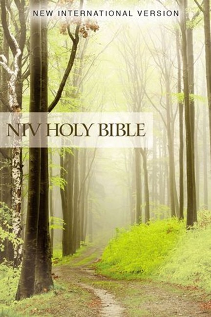 NIV Value Outreach Bible---softcover, green forest path - Case of 32