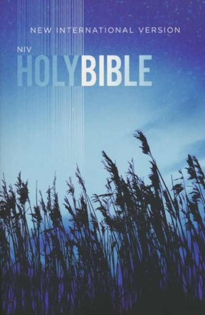 NIV Value Outreach Bible, Paperback - Case of 32