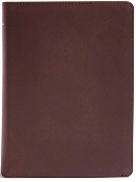 CSB He Reads Truth Bible, Brown Genuine Leather - Case of 12