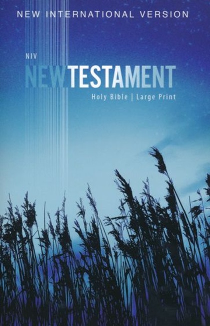 NIV Large-Print Outreach New Testament---softcover, blue wheat - Case of 50