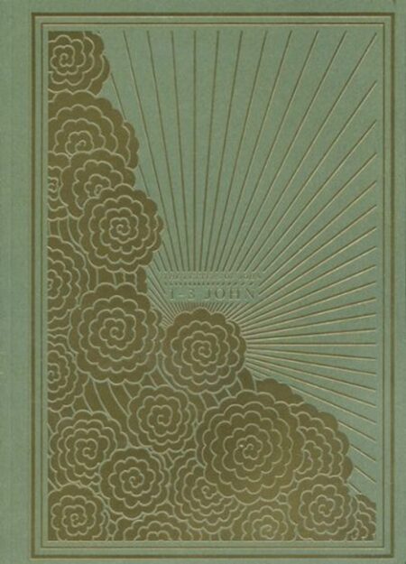 1-3 JohnESV Illuminated Scripture Journal - Case of 50