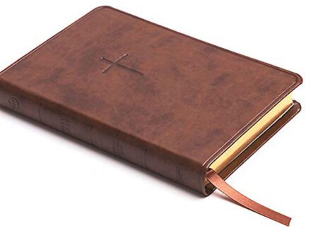 CSB Compact Bible, Value Edition---soft leather-look, brown - Case of 20