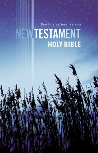 NIV Outreach New Testament, Paperback, Updated - Case of 96