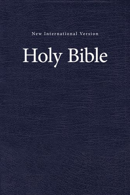 NIV Pew and Worship Bible---hardcover, blue - Case of 20