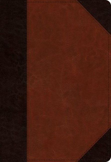 ESV Student Study Bible---soft leather-look, brown/cordovan with portfolio design - Case of 12
