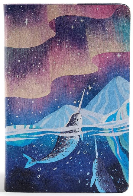 CSB Kids Bible---soft leather-look, ocean with narwhals - Case of 12