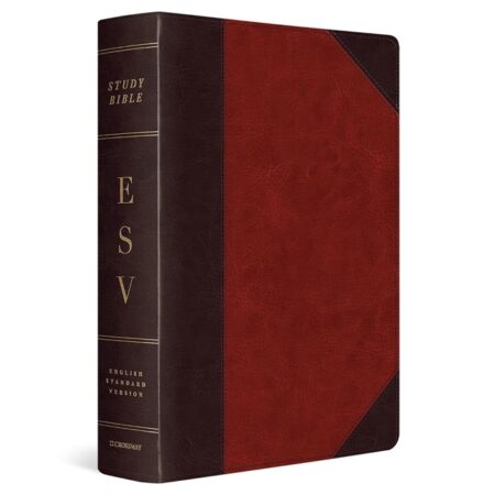 ESV Study Bible, Large Print, TruTone, Brown/Cordovan, Portfolio Design - Case of 6
