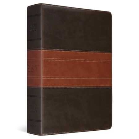 ESV Large-Print Study Bible---soft leather-look, forest/tan with trail design - Case of 6