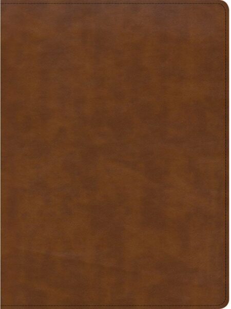 CSB Holy Land Illustrated Bible---soft leather-look, British tan - Case of 8