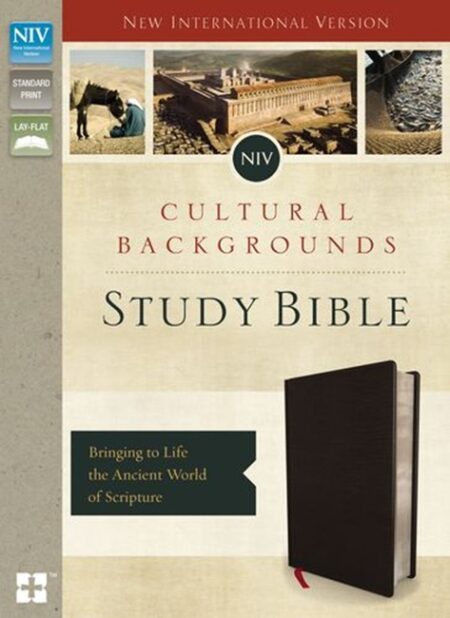 NIV Cultural Backgrounds Study Bible, Bonded Leather, Black - Case of 8
